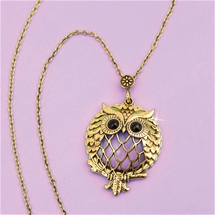 Owl Magnifying Pendant