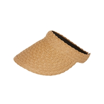 Goodwin Visor