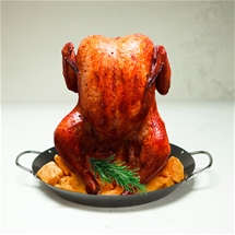 Vertical Chicken Roaster