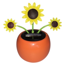 Solar Dancing Flower Sunflower
