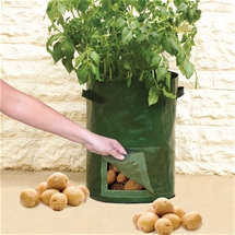 Veggie Planter Bag