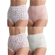 Pack of 4 Briefs_17G28_4