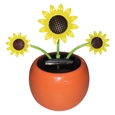 Solar Dancing Flower Sunflower_N677_0