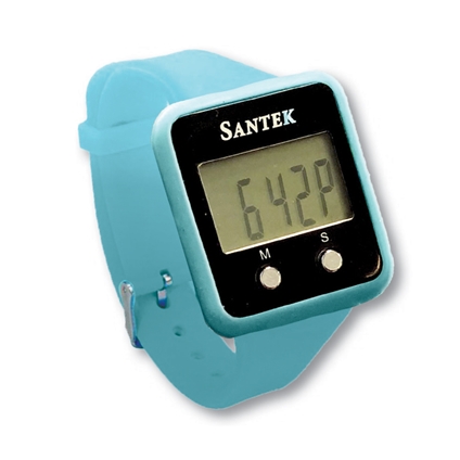 pedometer watch
