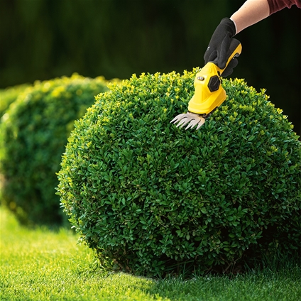 Cordless hotsell topiary trimmers